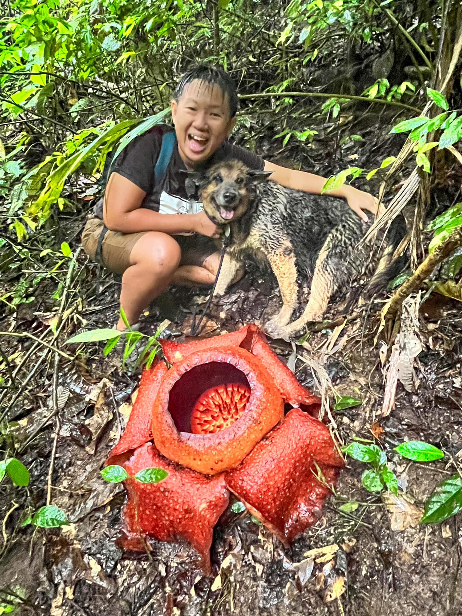 Jen wong and her pet dog meeting rafflesia