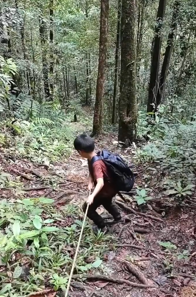 Jungle trekking to school (2)