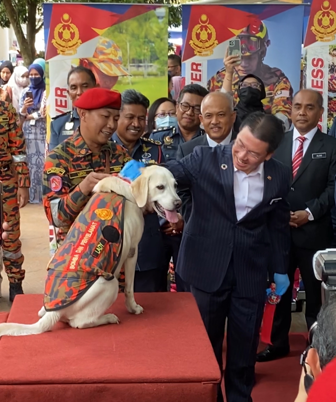 K9 dogs receive 'golden performance' medal by govt for helping in batang kali landslide rescue mission | weirdkaya