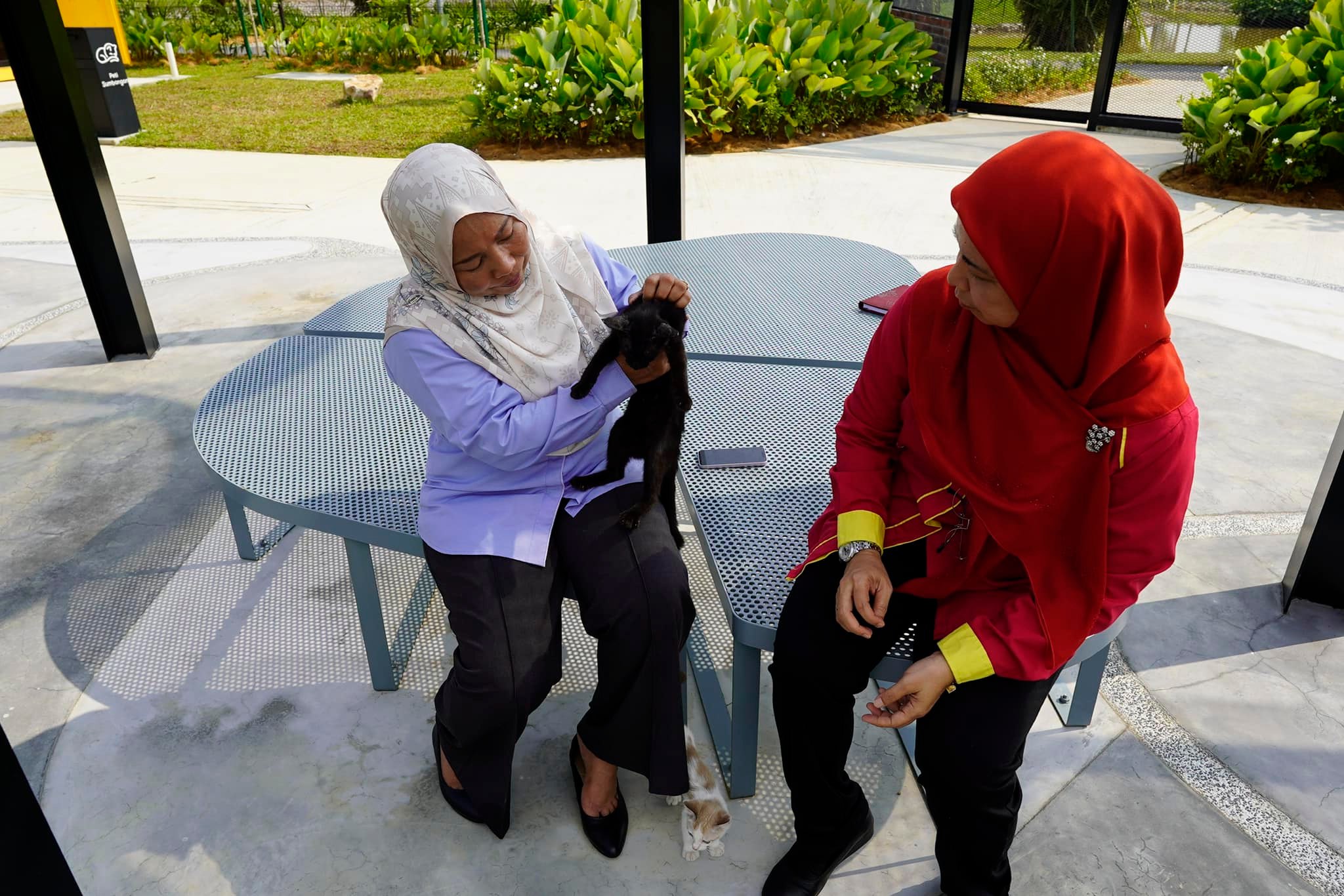 Klang mayor paying taman kucing klang a visit