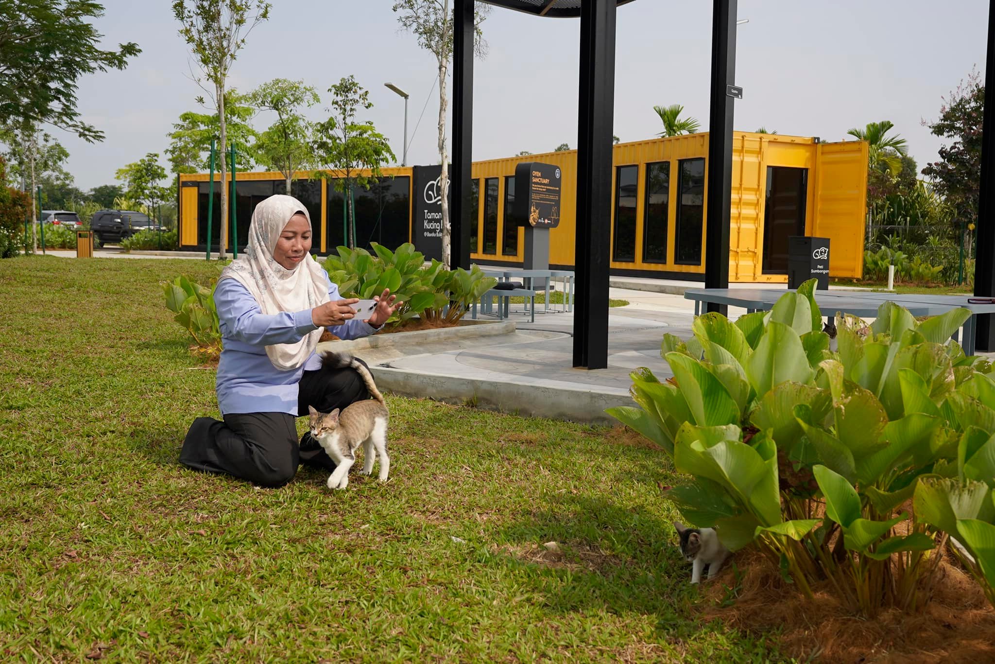 Klang mayor playing with cats at taman kucing klang