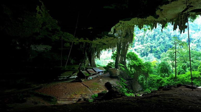 Kompleks gua taman negara niah