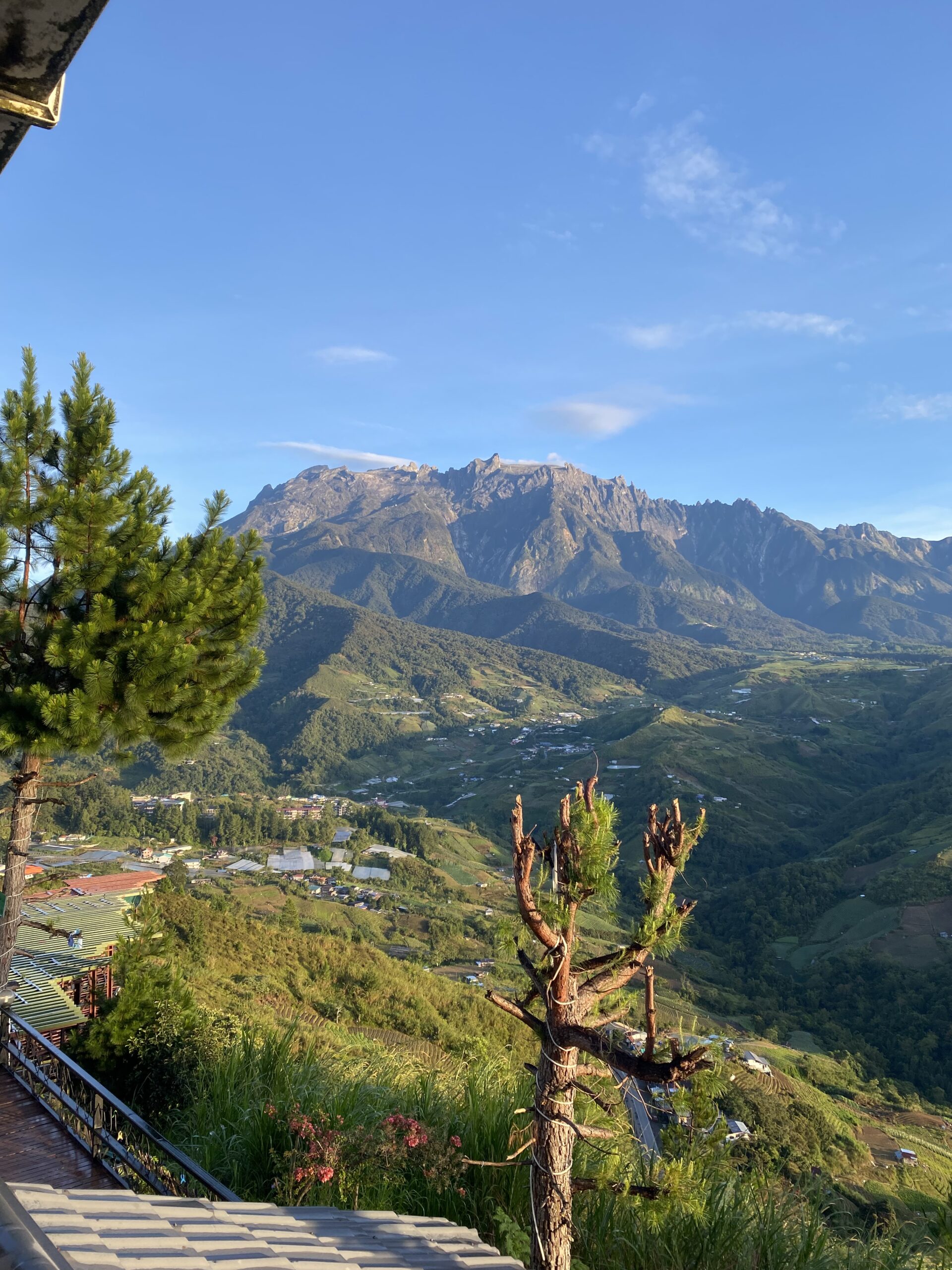 Here are 5 things to do in kundasang, a gem in m'sia that keeps drawing me back as a nature lover | weirdkaya
