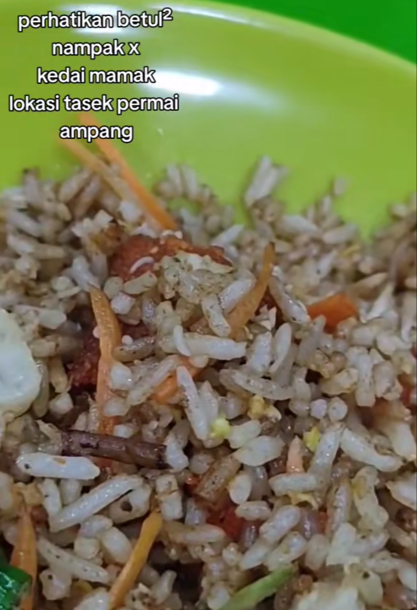 M'sian woman disgusted to find maggots inside fried rice at famous ampang eatery | weirdkaya