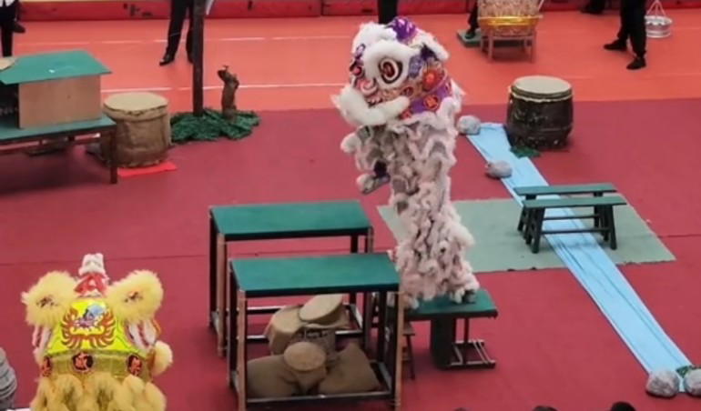 Malay girl and chinese partner perform lion dance