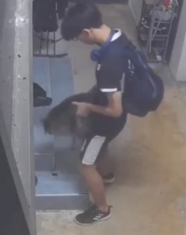 S'porean teenager arrested for humping cat with his pants down