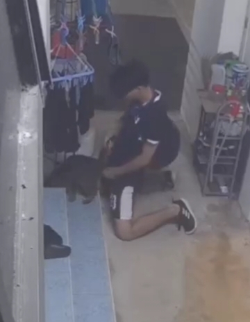 S'porean teenager arrested for humping cat with his pants down