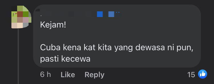 M'sian teacher slams organiser for tricking students into thinking they were having mcdonald's fried chicken comment 3