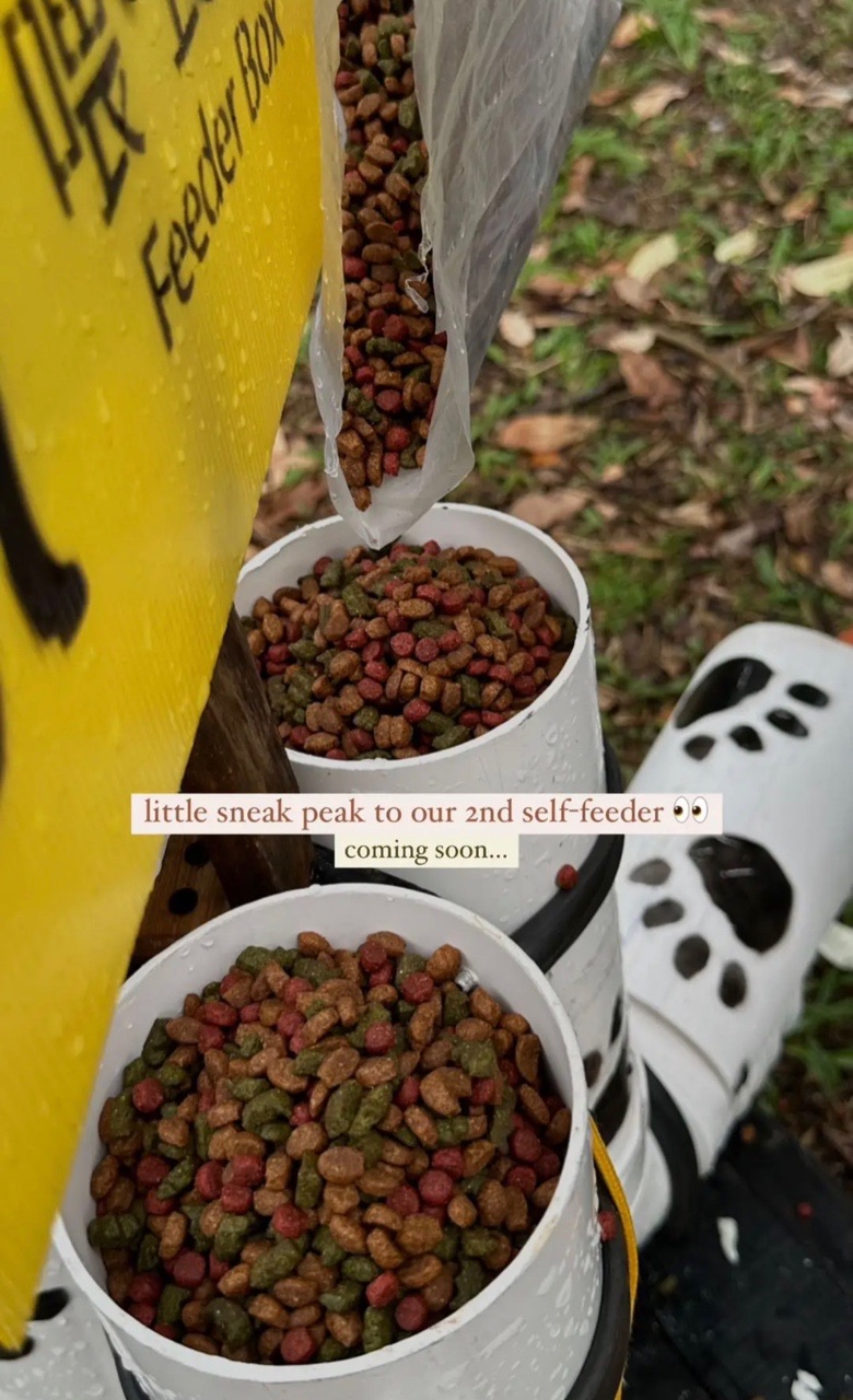 M'sian animal rescue group sets up self-feeder meant to prevent stray dogs from going hungry | weirdkaya