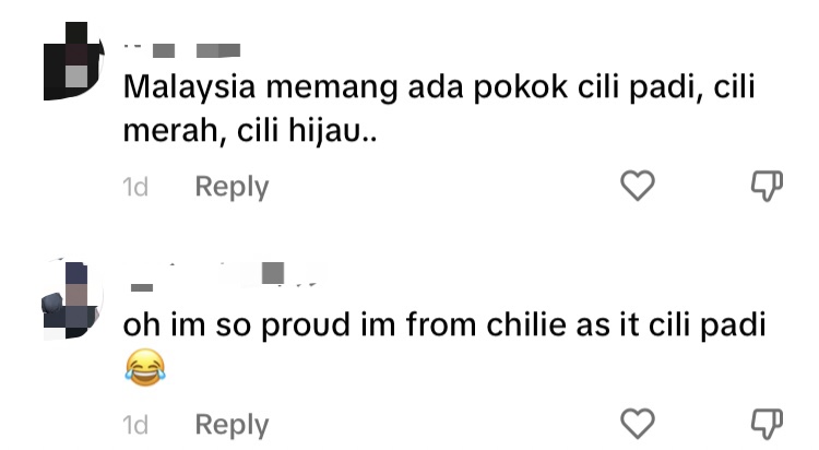 'hi from kelantan, chile' — uk woman gets roasted after she guesses m'sian flag as chile comment 3
