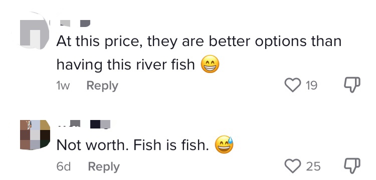 Sg tiktoker spends rm3300 eating sarawak river fish but netizens feel it isn't worth it comment 1