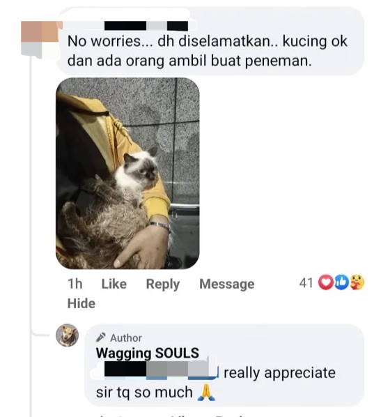 Injured cat spotted bleeding at klia, gets rescued and adopted by kind m'sian comment