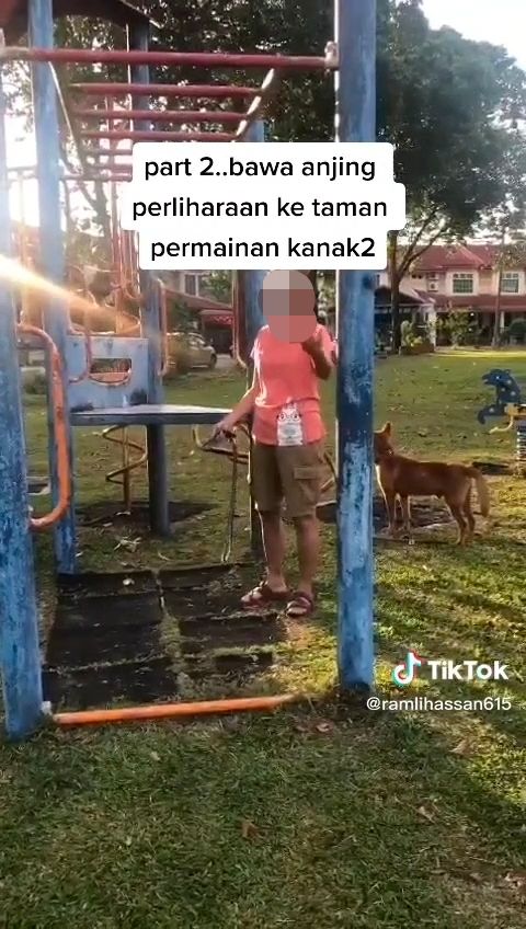 M'sian woman scolded for letting dogs play the slide, draws mixed reactions from netizens