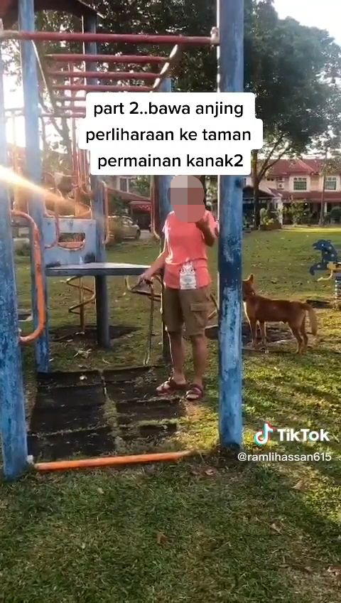 Man Scolds Aunty For Letting Dogs Play On Public Playground's