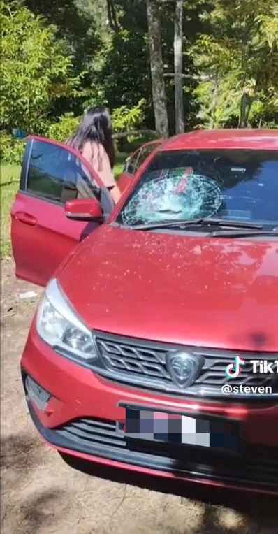 M'sian driver's windscreen gets smashed after durian falls off tree and lands right on top