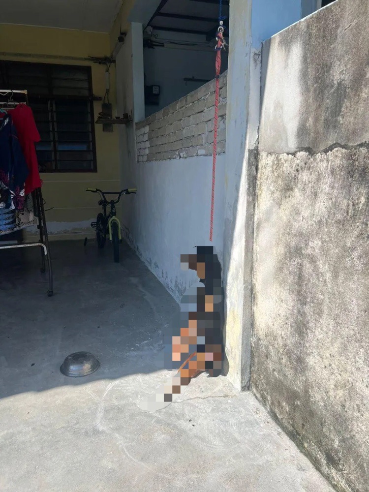 Rottweiler found hanging from a leash in penang, owner claims it was an accident
