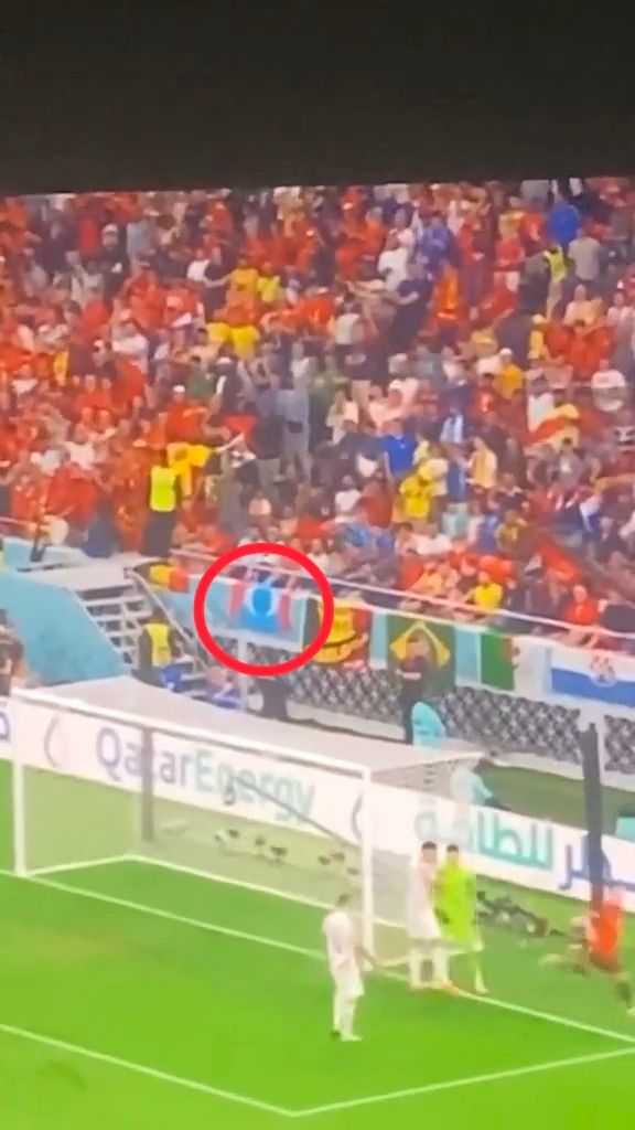Pkr flag appears at fifa world cup at front-row seat