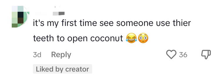 Mat salleh tries to open coconut with his teeth in m'sia but ends up cracking it comment 1