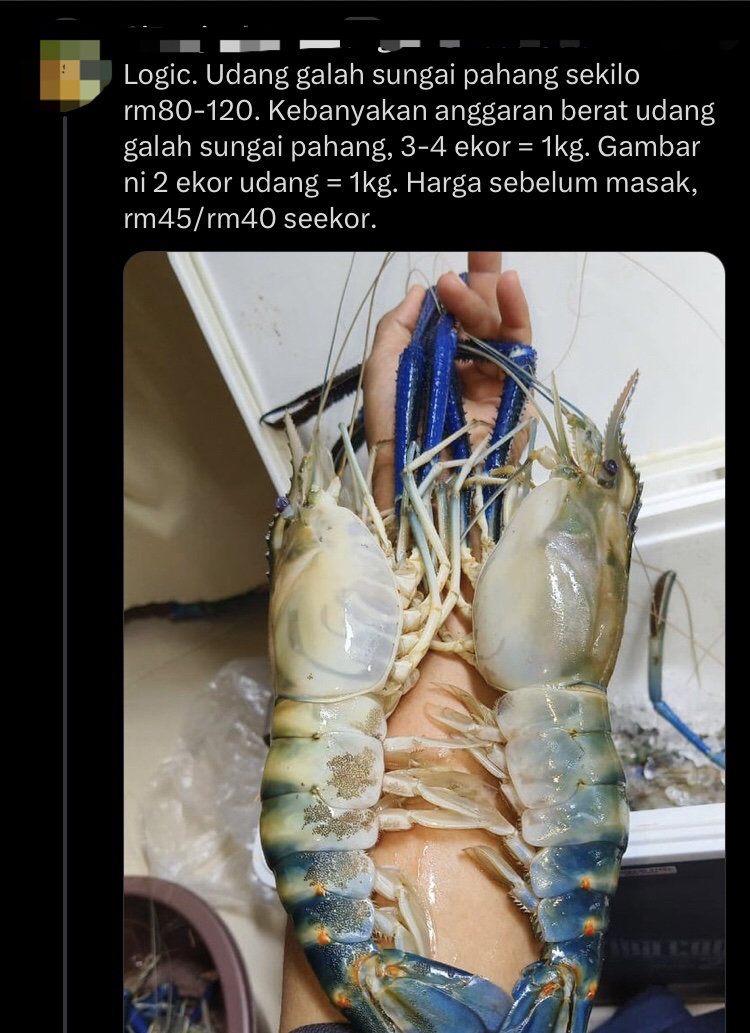 'is this logical? ' — m'sian stunned by rm30 tiger prawn he ordered at kl stall comment 3