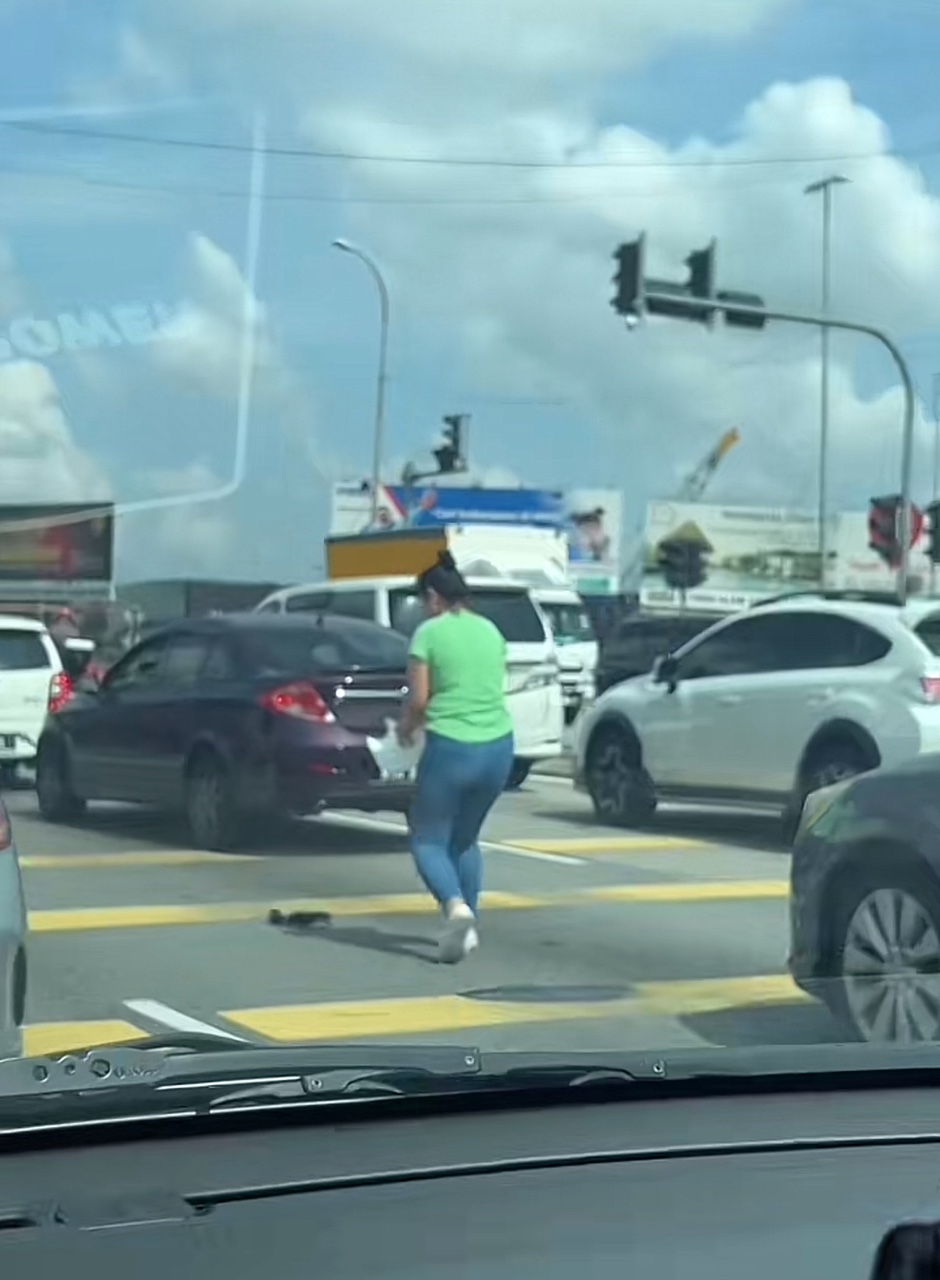 Msian woman carrying a dead cat off the road