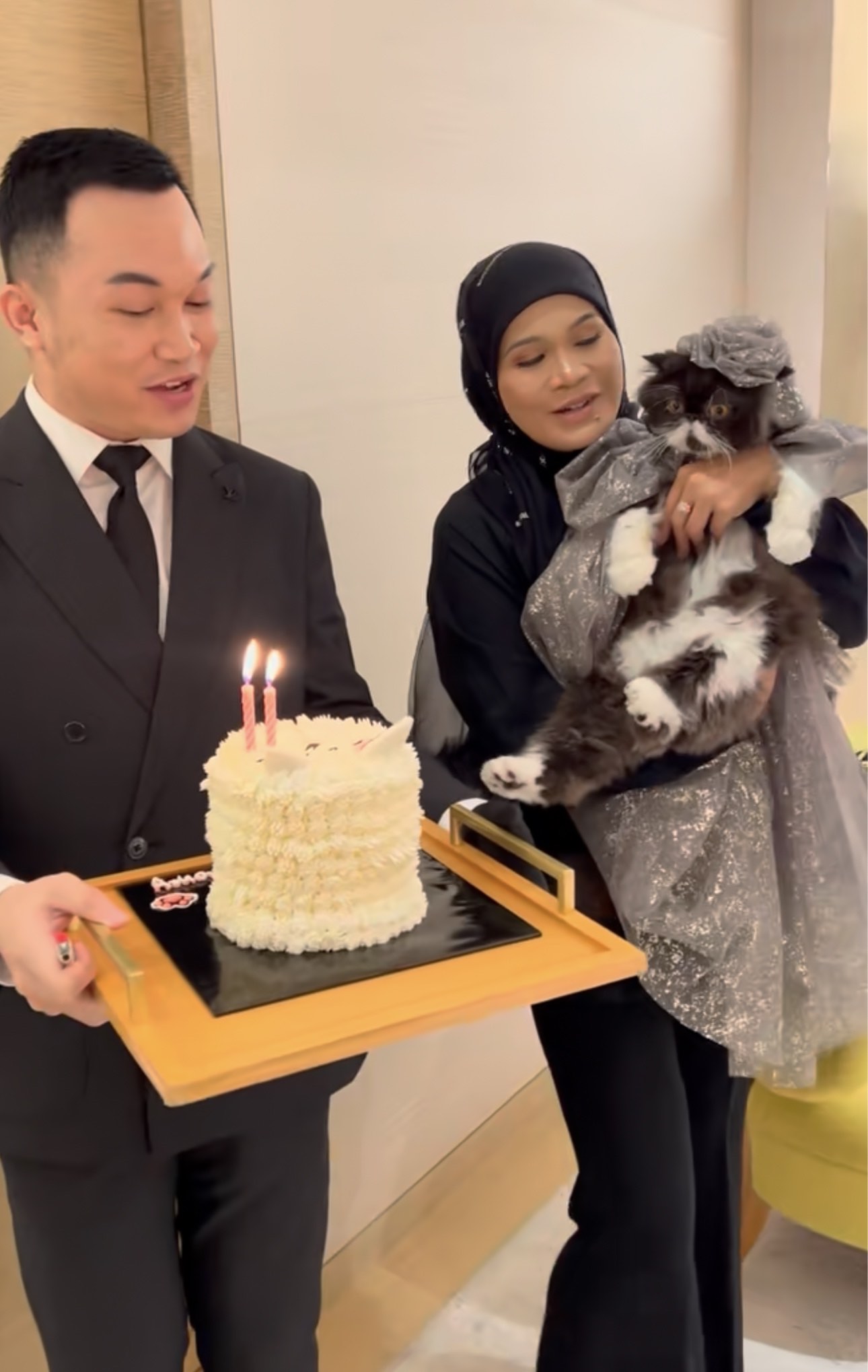 Cat gets birthday cake at louis vuitton