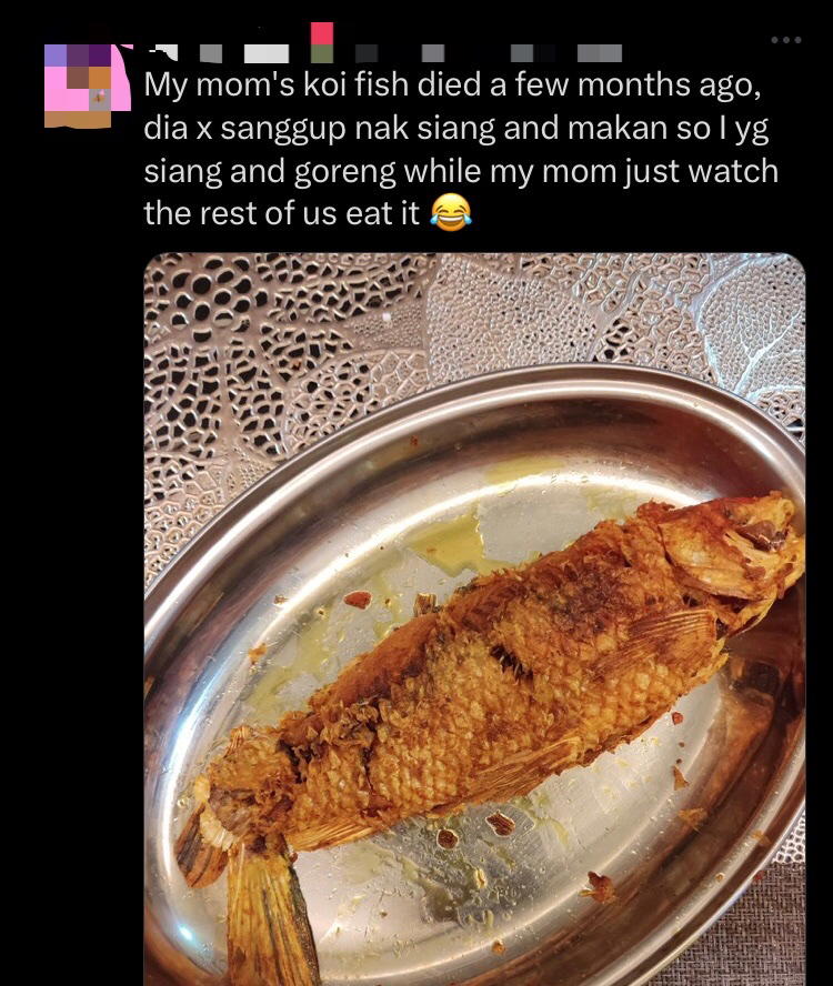 M'sian woman's parents fry and consume pet koi fishes after they died due to power trip comment 2