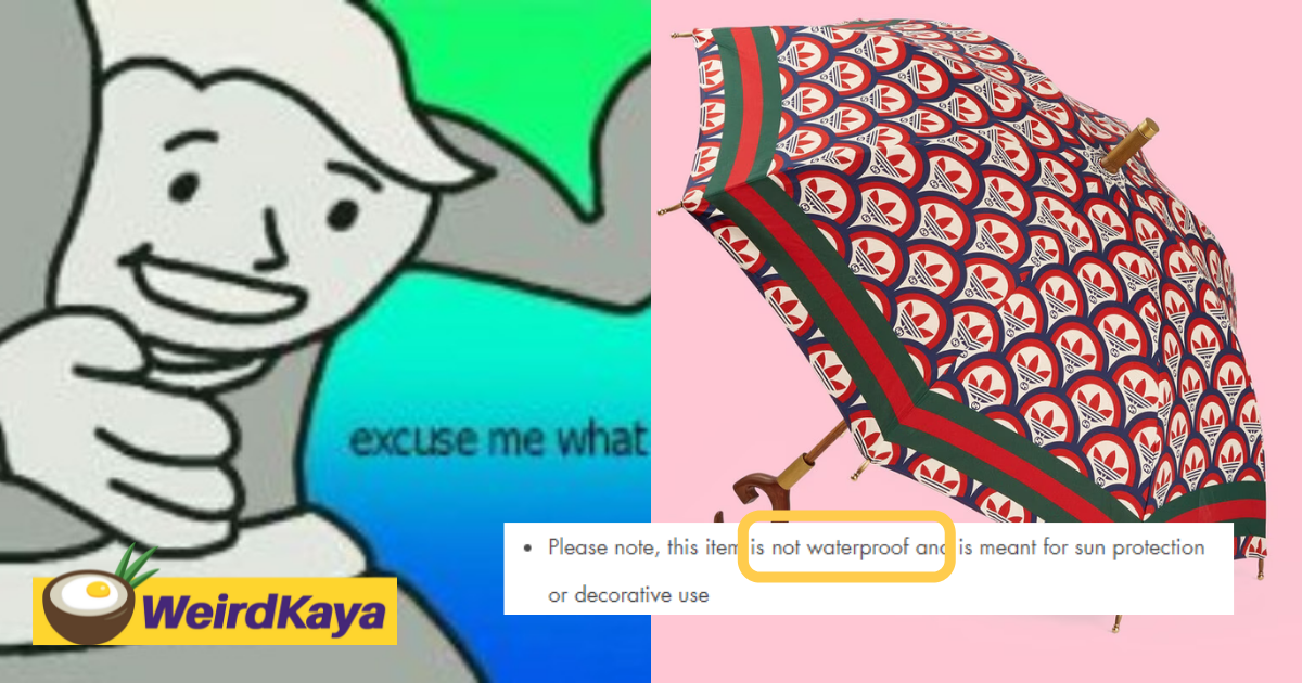 Turns out adidas x gucci's rm7,190 umbrella isn't waterproof. And netizens are calling them out for it | weirdkaya