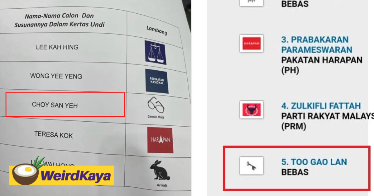Two ge15 candidates contest as ‘choy san yeh’ and ‘too gao lan’ on nomination day | weirdkaya