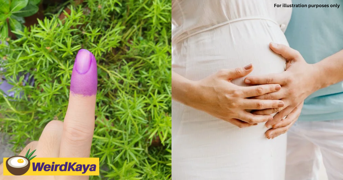 M'sian woman votes in #ge15 despite being pregnant & covid-positive | weirdkaya