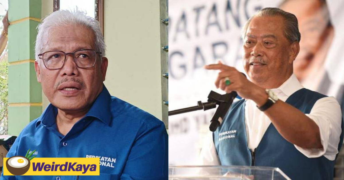 One more mp has declared support for muhyiddin as pm, claims pn sec-gen | weirdkaya