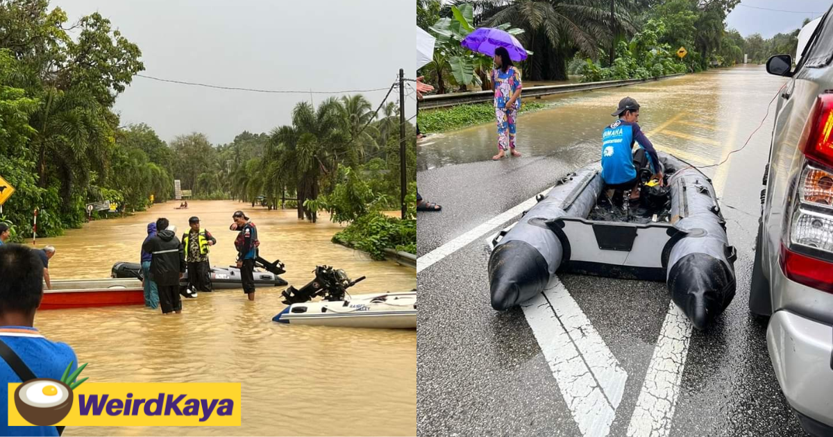 The hero's back! Abang viva spotted helping flood victims in terengganu | weirdkaya