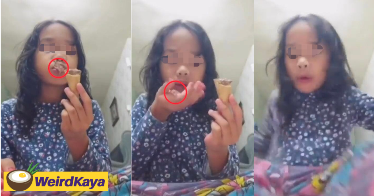 M'sian toddler finds live lizard in ice cream and we're scarred for life already | weirdkaya