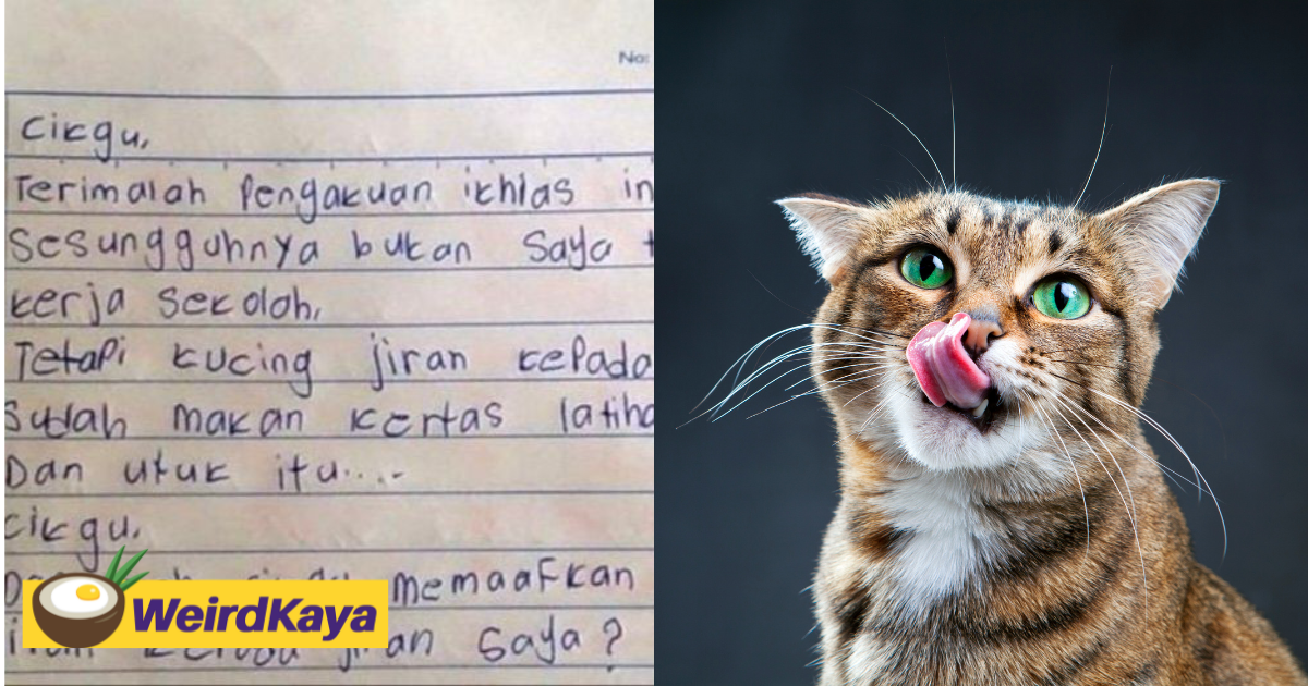 M'sian student writes apology letter to teacher over homework, claims neighbor's cat ate it | weirdkaya