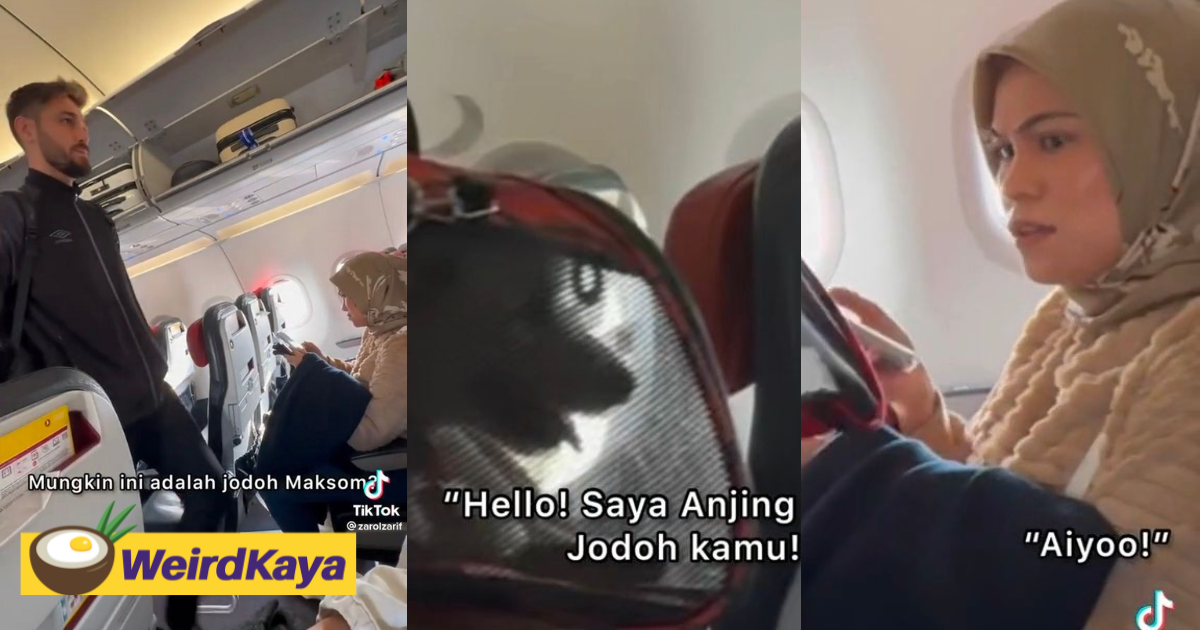 M'sian woman wishes to sit beside handsome turkish man, ends up having a dog as her companion | weirdkaya