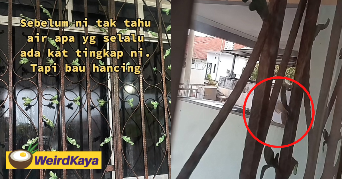 Psycho neighbour caught throwing urine towards m'sian woman's house | weirdkaya