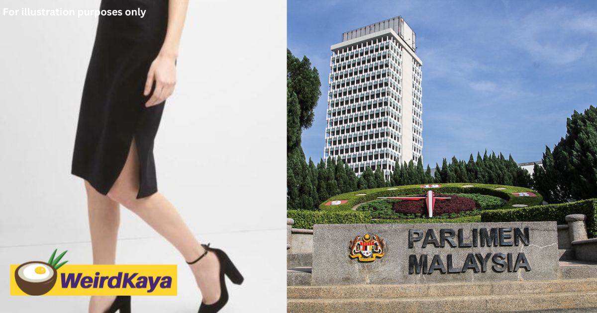M'sian woman who wanted to meet mp in parliament thrown out for wearing knee-length skirt with slit | weirdkaya