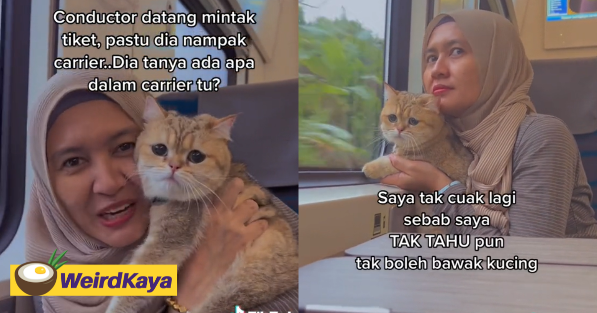 M'sian woman brings cat on ktm train ride, gets bashed for breaking 'no pets' rule | weirdkaya