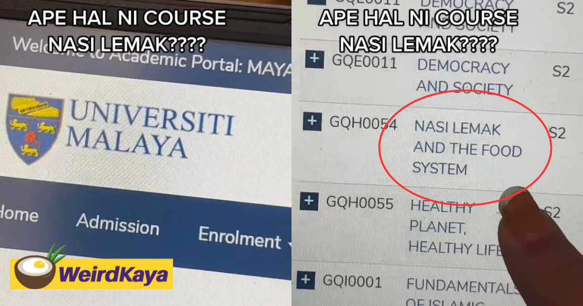 M'sian student amused to discover 'nasi lemak' course offered by universiti malaya | weirdkaya