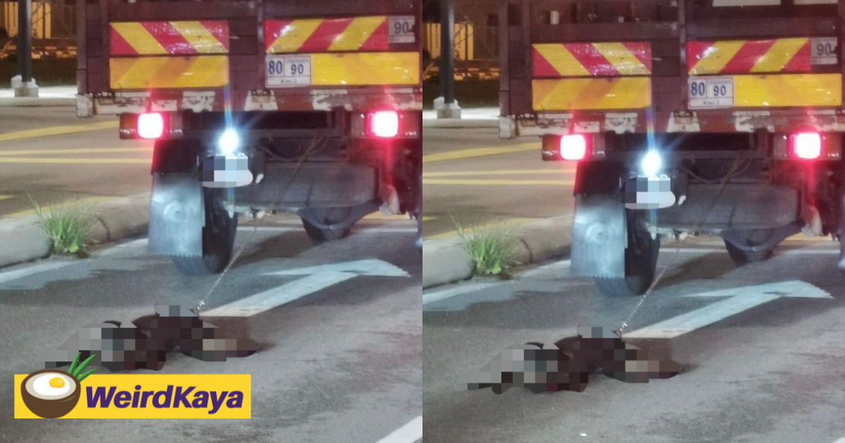 Dog gets dragged behind a lorry in serdang, netizens demand action & justice for it | weirdkaya
