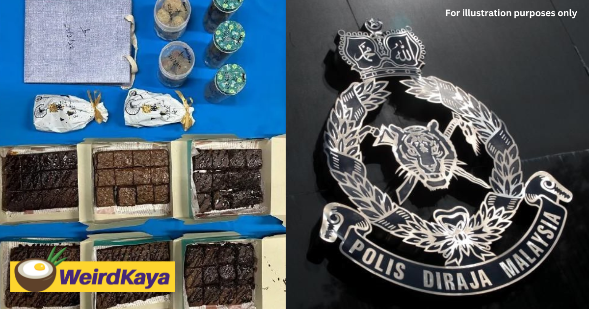 19yo m'sian student nabbed for selling cannabis brownies worth rm21,000 | weirdkaya