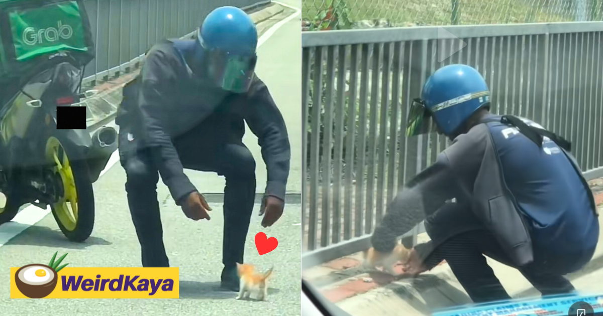 M'sian grabfood rider rescues tiny kitten from traffic which then becomes his new pet | weirdkaya
