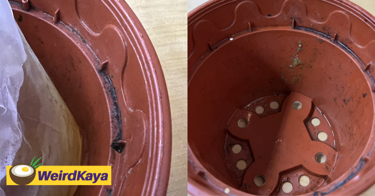 M'sian eatery serves drink in dirty flower pot, gets bashed for lack of hygiene | weirdkaya
