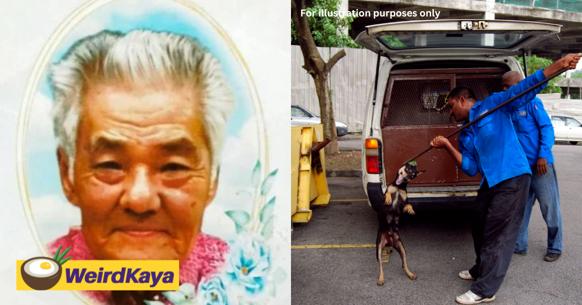 85yo m'sian man who died protecting his dog had breathing difficulties, say police | weirdkaya