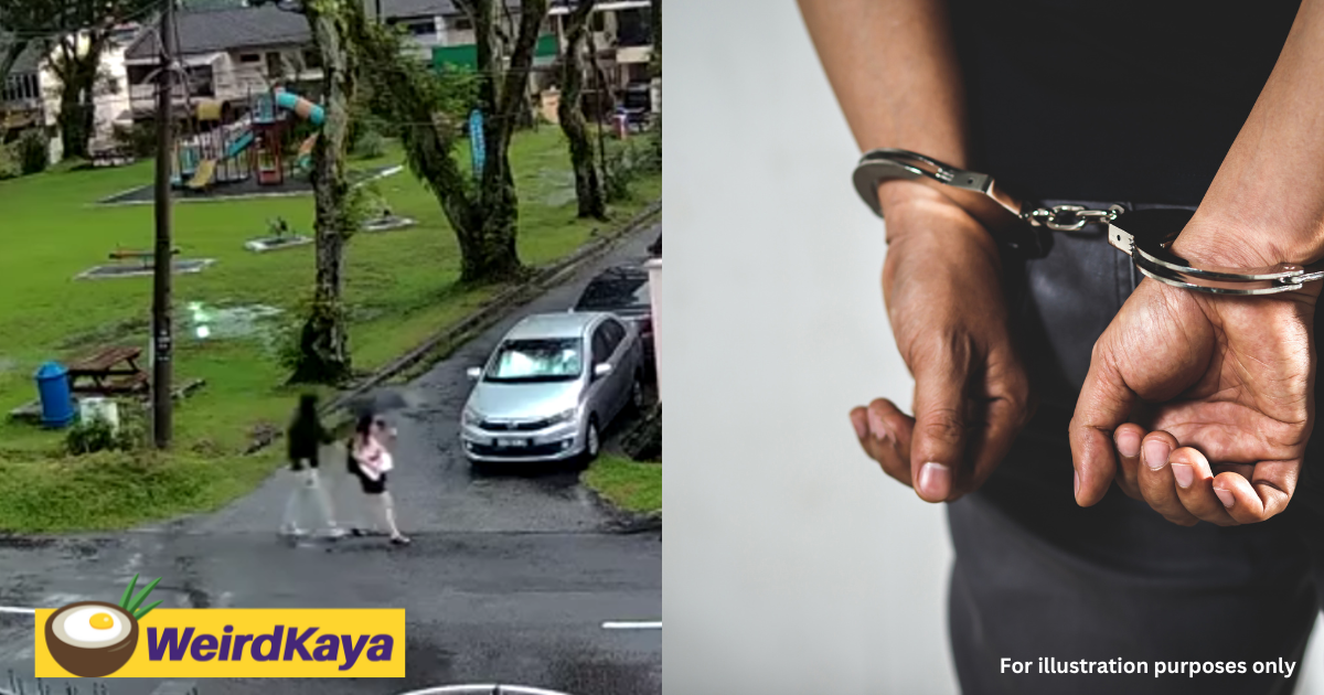 Molester who sexually assaulted woman walking alone in broad daylight in ss2 arrested | weirdkaya