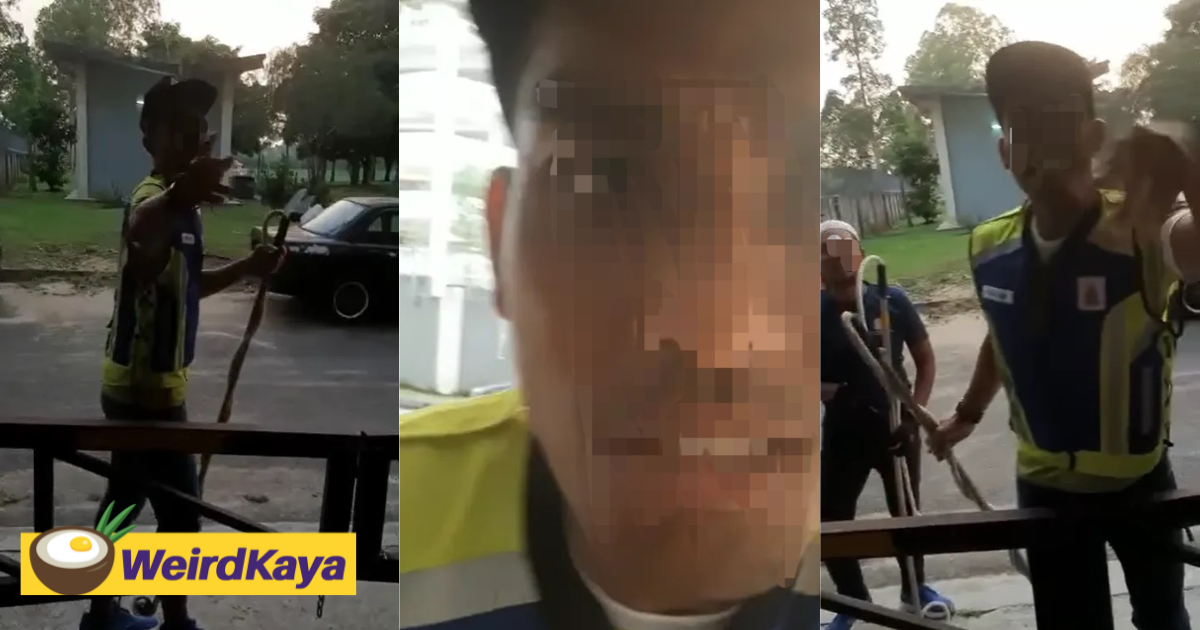 Viral clip of mbpj officers provoking man while rounding up stray dogs surfaces online | weirdkaya