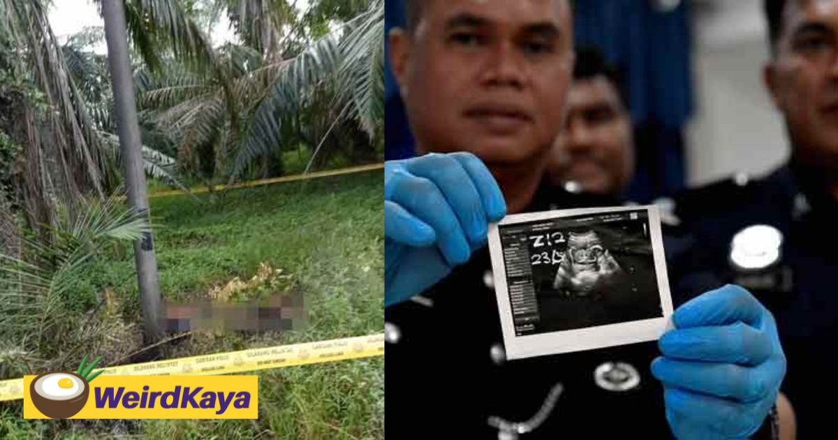 M'sian woman whose charred body was abandoned at palm oil plantation stabbed by boyfriend over pregnancy | weirdkaya