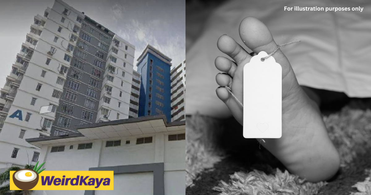 4yo girl dies after falling from 11th floor of police quarters in subang jaya | weirdkaya