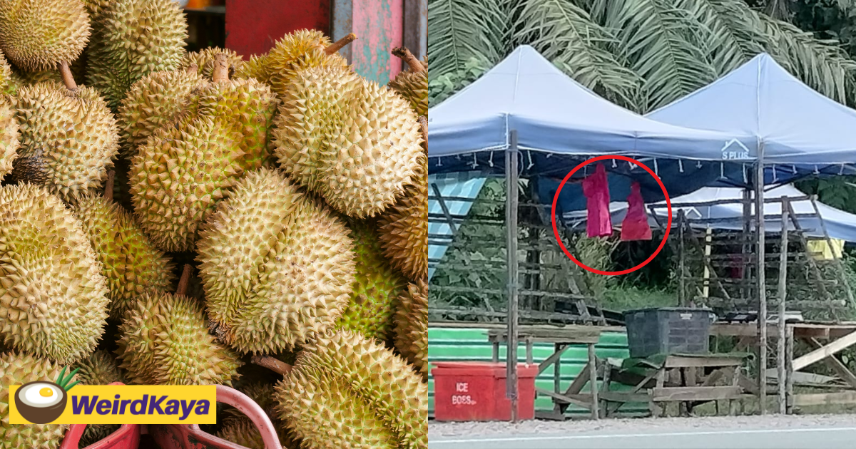 M’sian man 'buys' all durians from seller & speeds away without paying, leaving him with rm3,000 in losses | weirdkaya