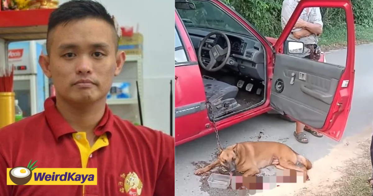 Heng kee roasted pork owner's son responds after father was accused of chaining and dragging dog behind vehicle | weirdkaya