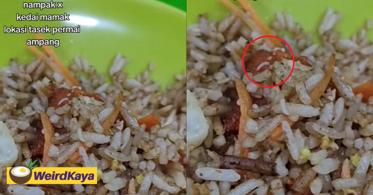 M'sian woman disgusted to find maggots inside fried rice at famous ampang eatery | weirdkaya